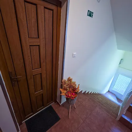 Fitt * Pápa